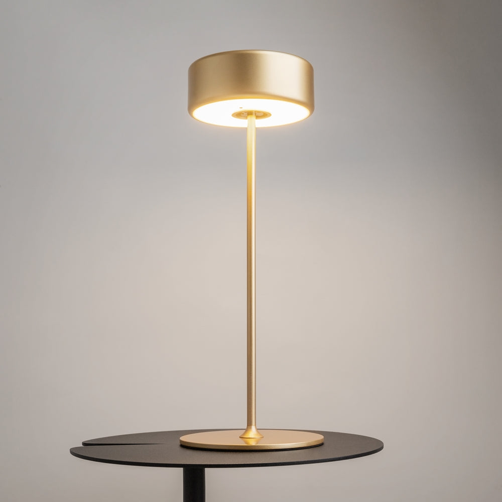 Maytoni AI Collaboration LED – przenośna lampa stołowa