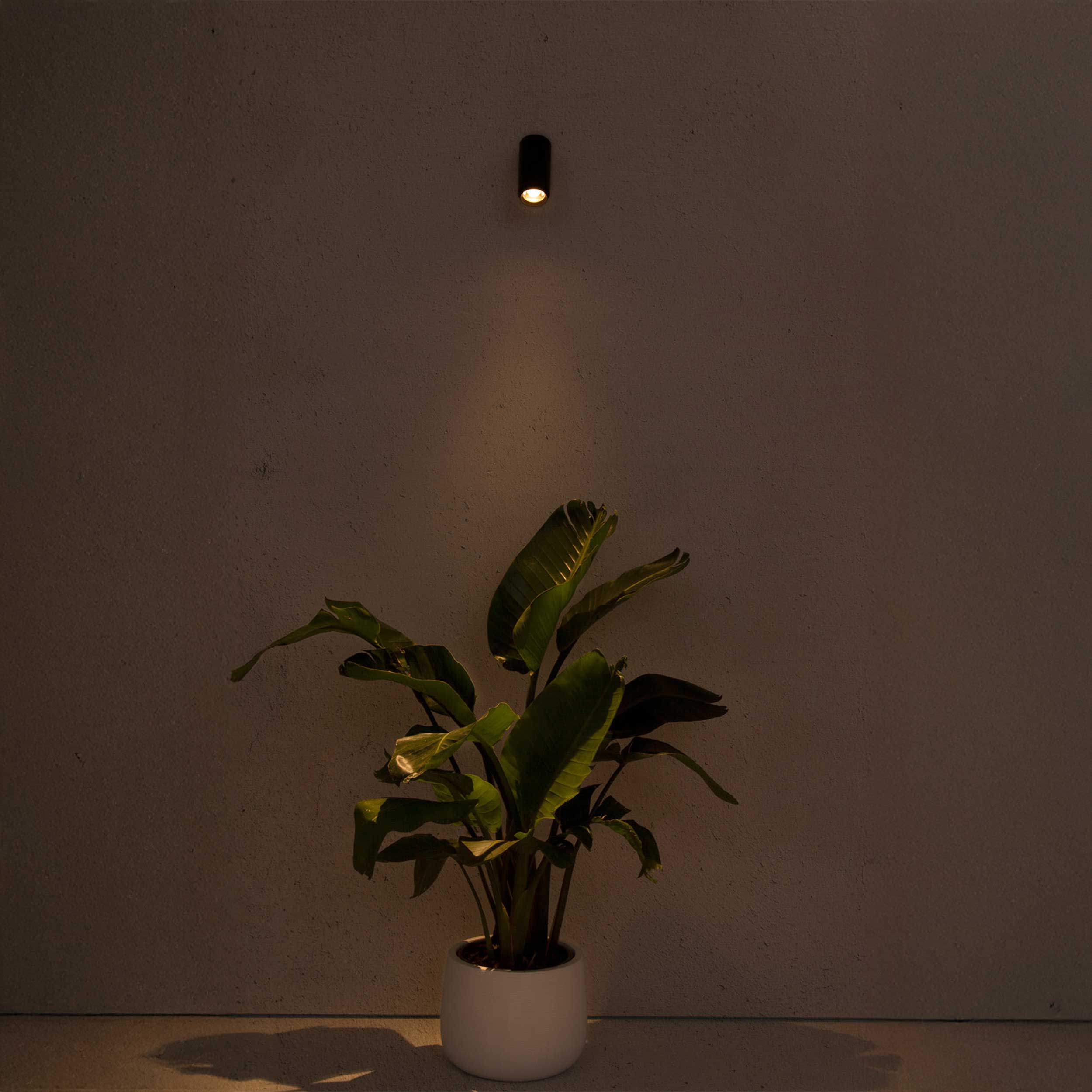 Faro Plom LED nástěnné venkovní nastavitelné svítidlo IP64