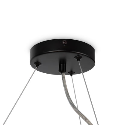 Lampa wisząca Maytoni Dallas G9