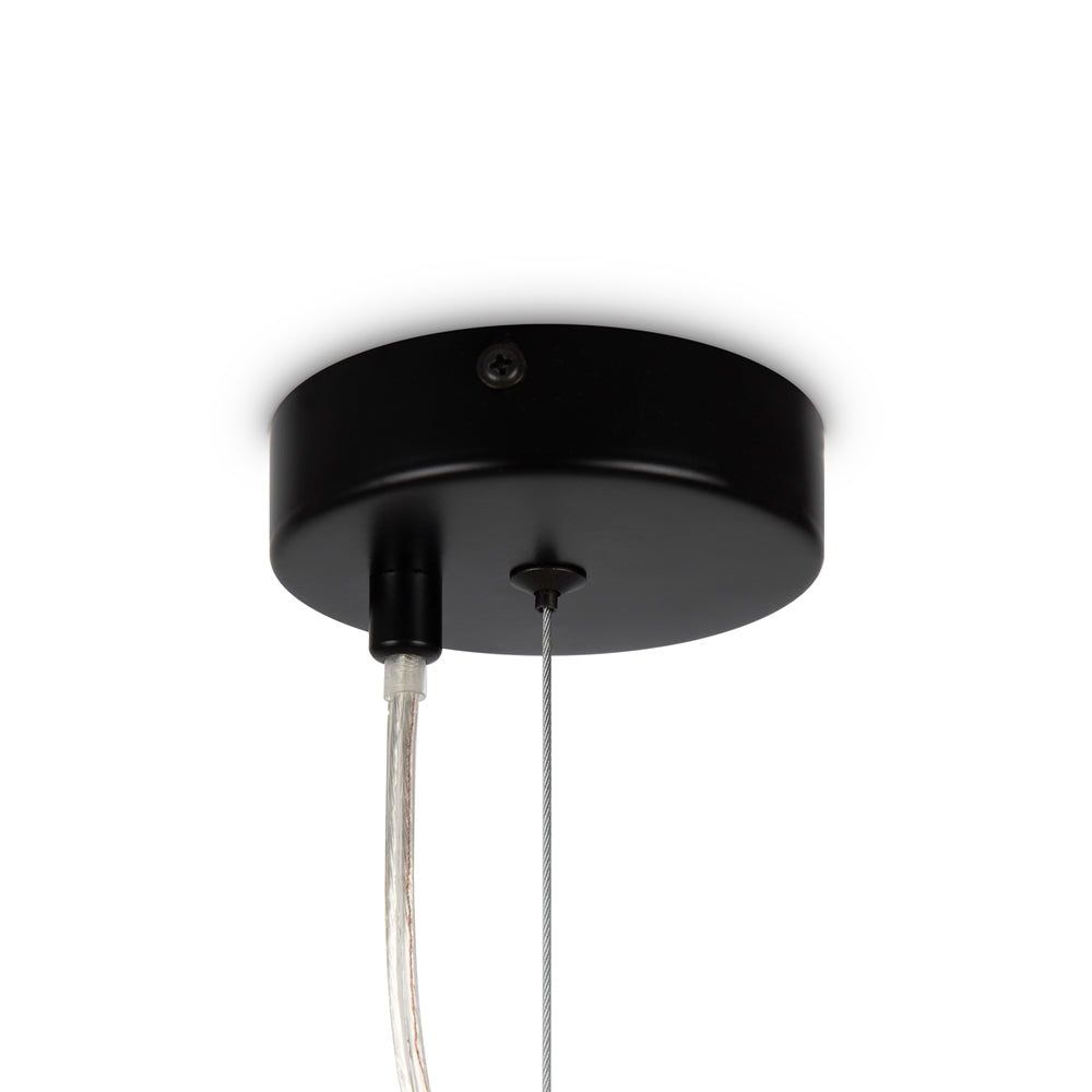 Lampa wisząca Maytoni Dallas G9