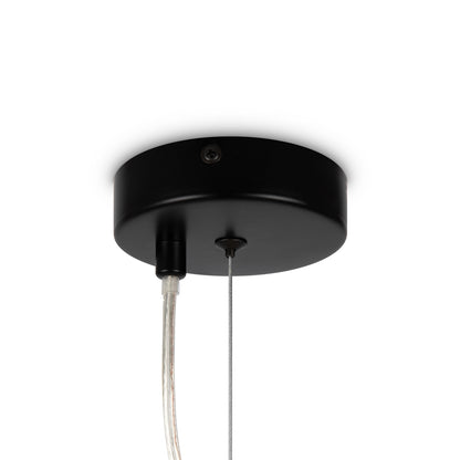 Lampa wisząca Maytoni Dallas G9