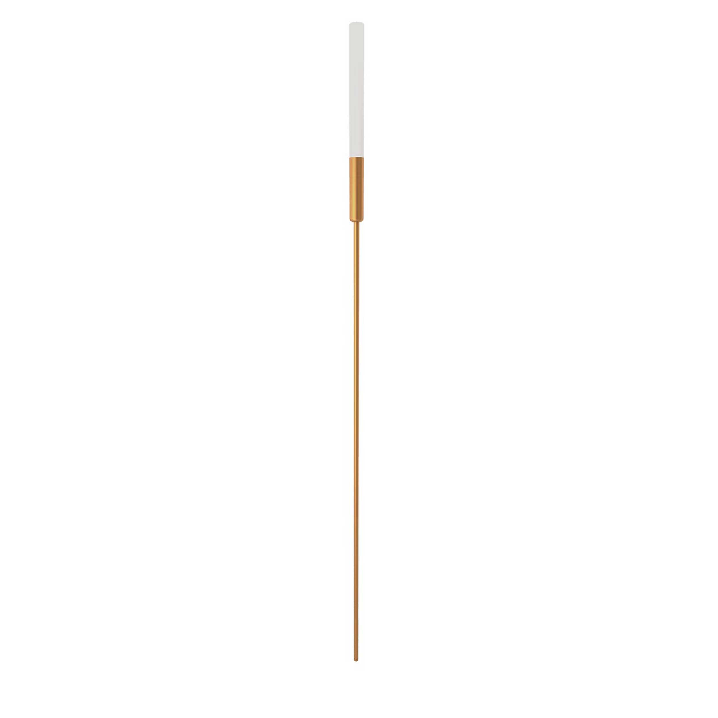 VK Light Mim – oprawa słupowa LED IP65